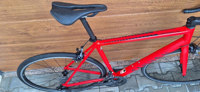 Canyon Endurace AL 7.0 L