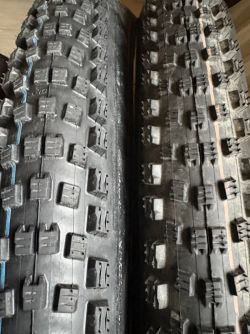 Schwalbe 2x Wicked Will super race 29” 2.4
