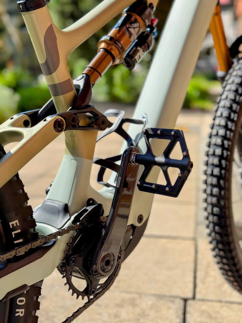 2024 Turbo Levo SL Pro Carbon