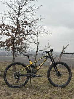 Mondraker Foxy Carbon XR – 2023 | PC: 240k