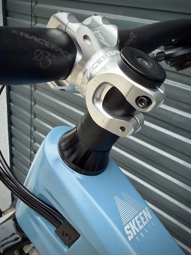 Radon Skeen Trail CF 10.0, 29“, karbon