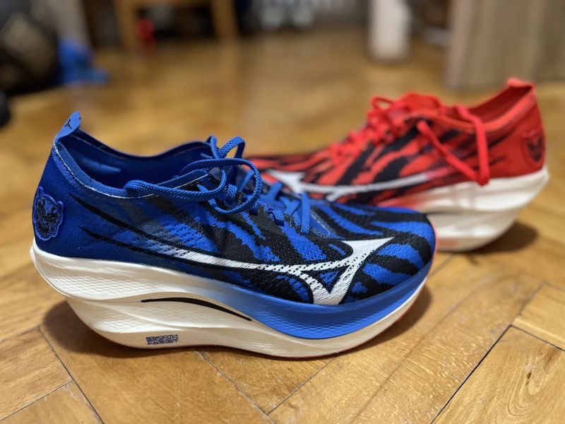 Mizuno Wave Rebellion Pro 3 (EU 44)