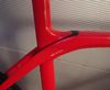 TREK MADONE / DOMANE SLR 6 DISC – SAGAFREDO (vel. 62)
