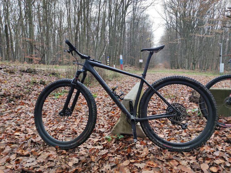 Specialized Epic Expert