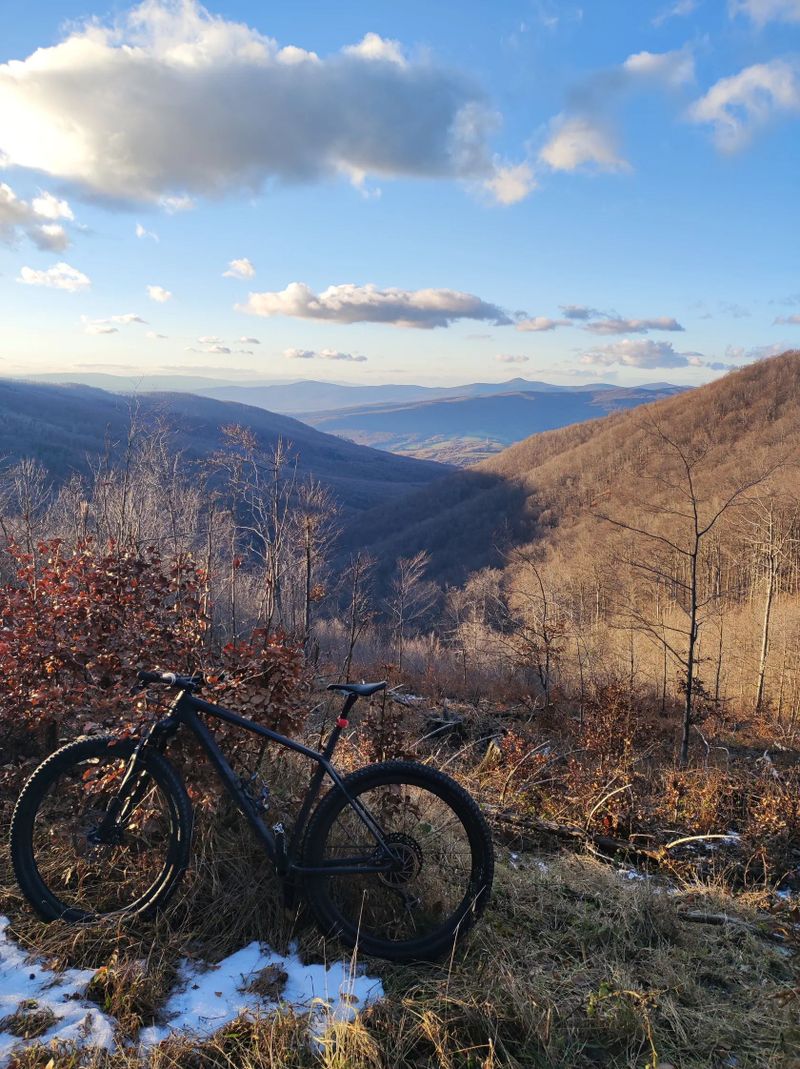 Specialized Epic Expert