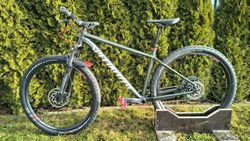 Specialized Rockhopper Expert 29