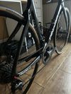 Pinarello Gan disc