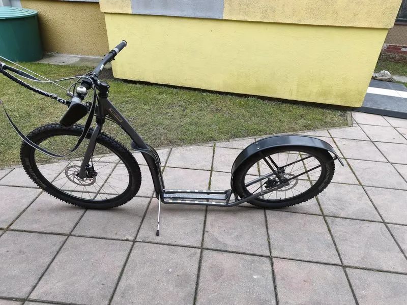 Kostka Mushing Racer Max G5 Antic