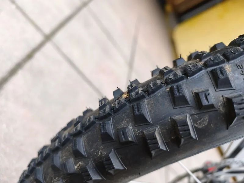 Kostka Mushing Racer Max G5 Antic