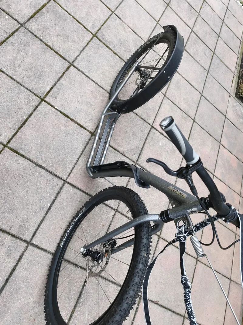 Kostka Mushing Racer Max G5 Antic