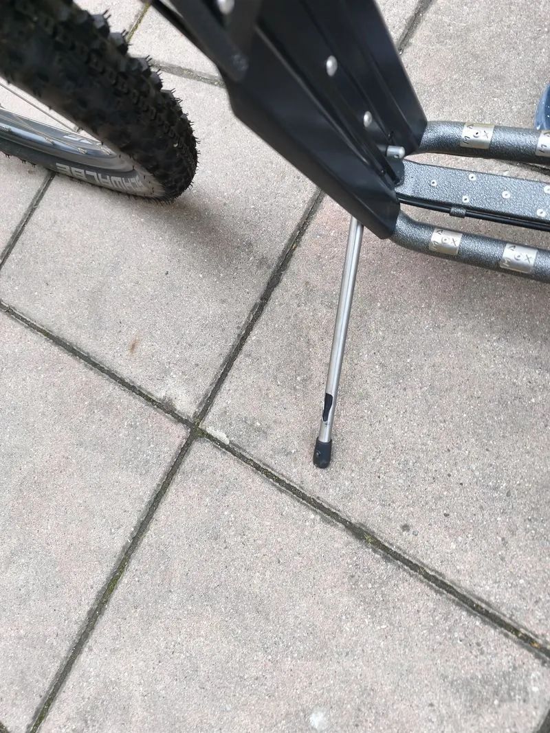 Kostka Mushing Racer Max G5 Antic