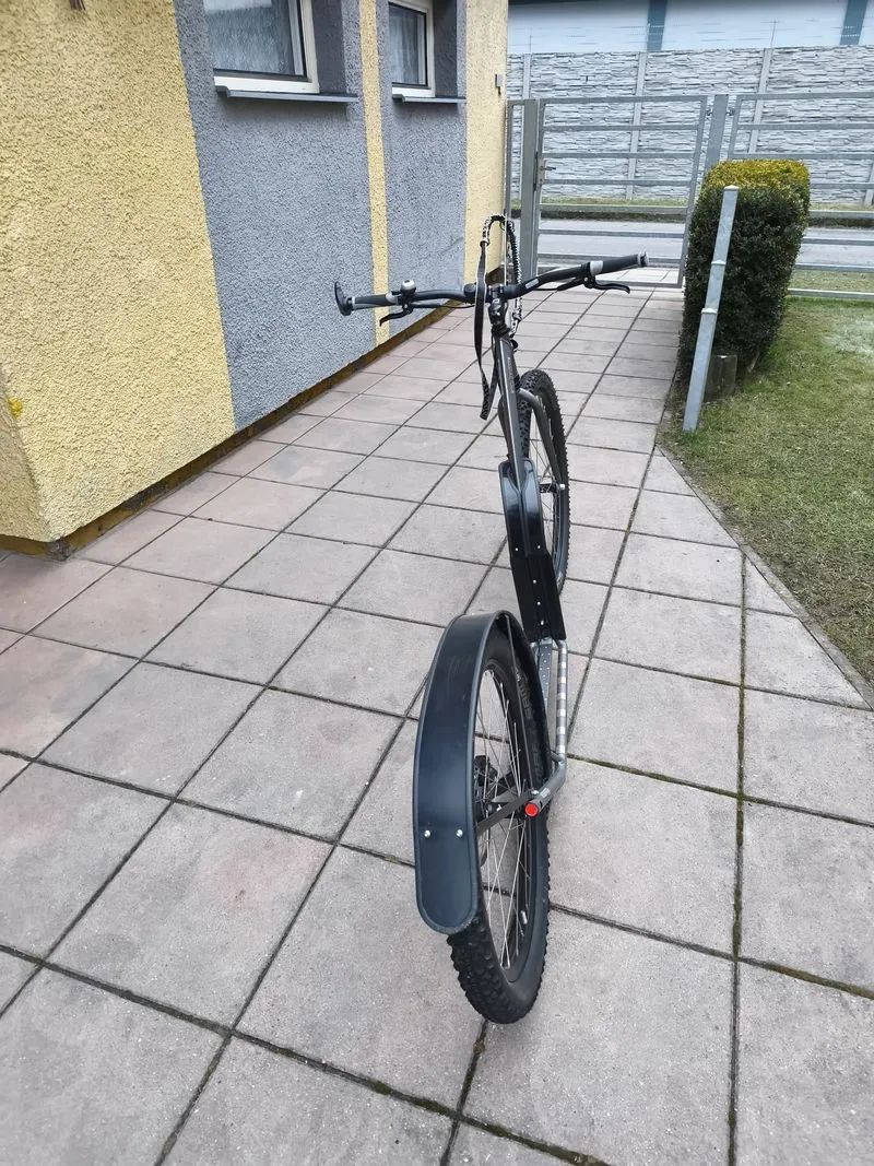 Kostka Mushing Racer Max G5 Antic