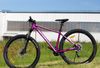 Prodám Galaxy UNITY 29" FIALOVÁ Testbike