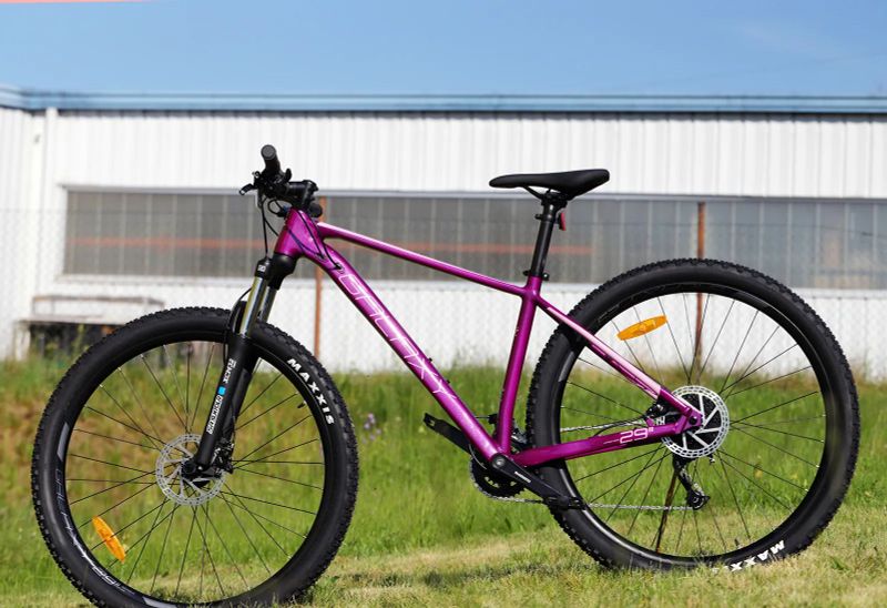 Prodám Galaxy UNITY 29" FIALOVÁ Testbike