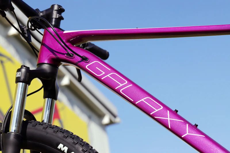 Prodám Galaxy UNITY 29" FIALOVÁ Testbike