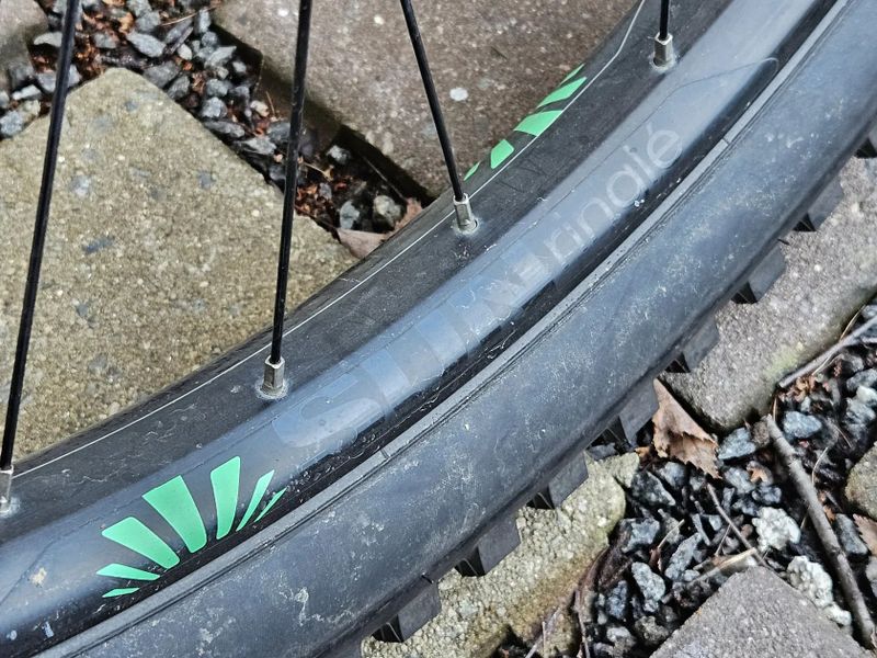 Trail bike TREK ROSCOE 9, vel.L/18.5", XT, teleskop.sedlovka