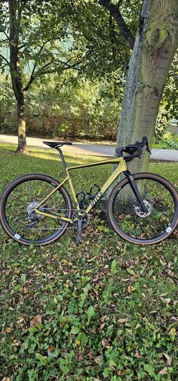Rose Backroad Carbon Gravelbike GRX 810 RH53
