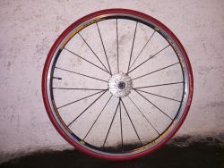 Mavic Axium Race - zadní kolo (na trenažér)