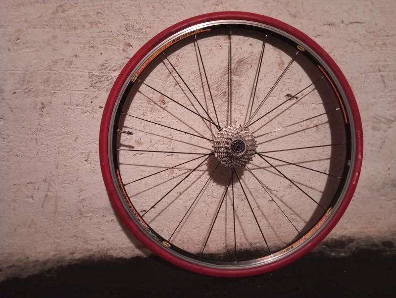 Mavic Axium Race - zadní kolo (na trenažér)