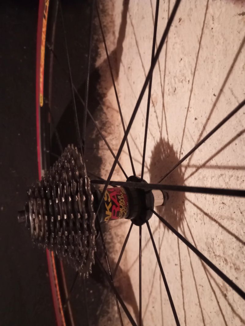 Mavic Axium Race - zadní kolo (na trenažér)