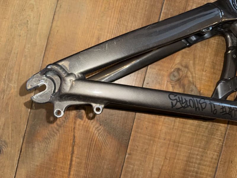 Dartmoor SHINE PRO 2022