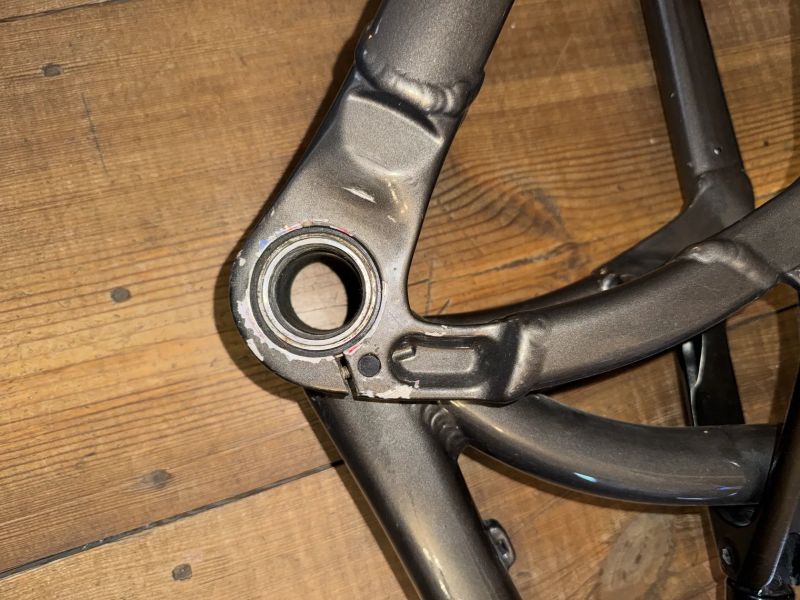 Dartmoor SHINE PRO 2022