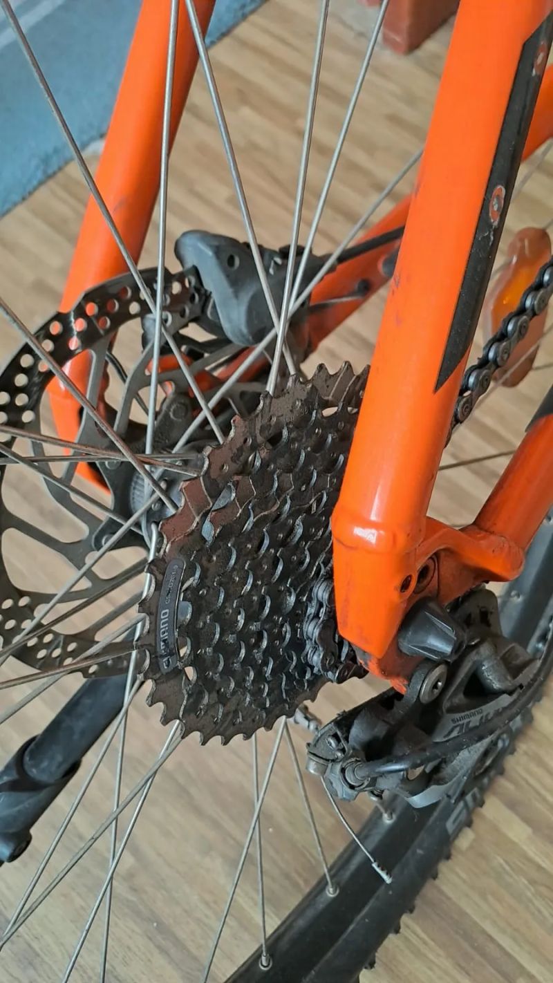 KTM Macina Ride 291
