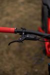 YT Industries Capra Core 3 29