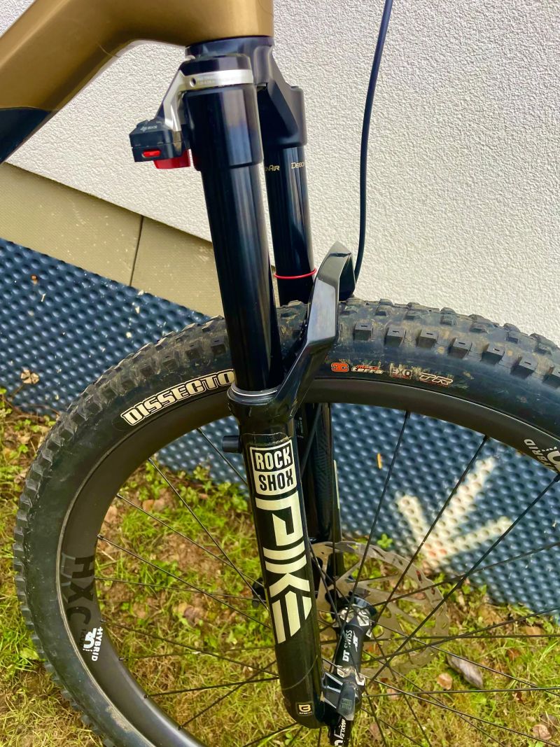 Canyon Spectral 125 flight attendant