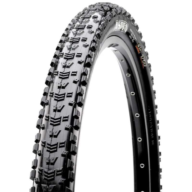 Maxxis IKON + Maxxis Aspen 
