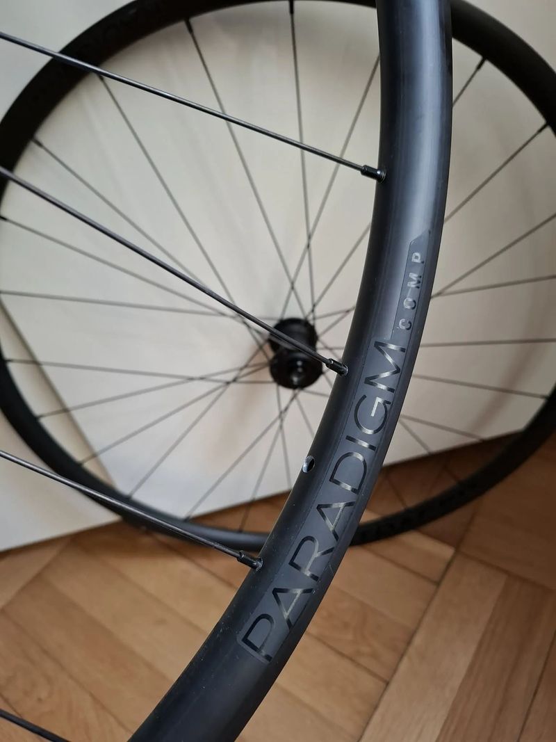 Bontrager Paradigm Comp TLR