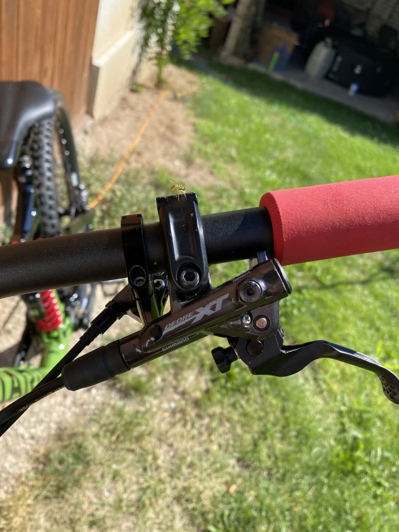 Marin Alpine zářil 7