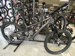 Specialized Stumpjumper Evo expert