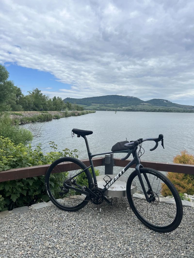 Giant Revolt 0 2024, GRX 820, Dragonfly Blue