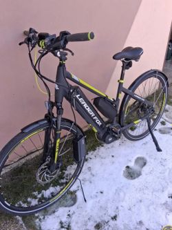 Leader Fox Bend Lady 18"