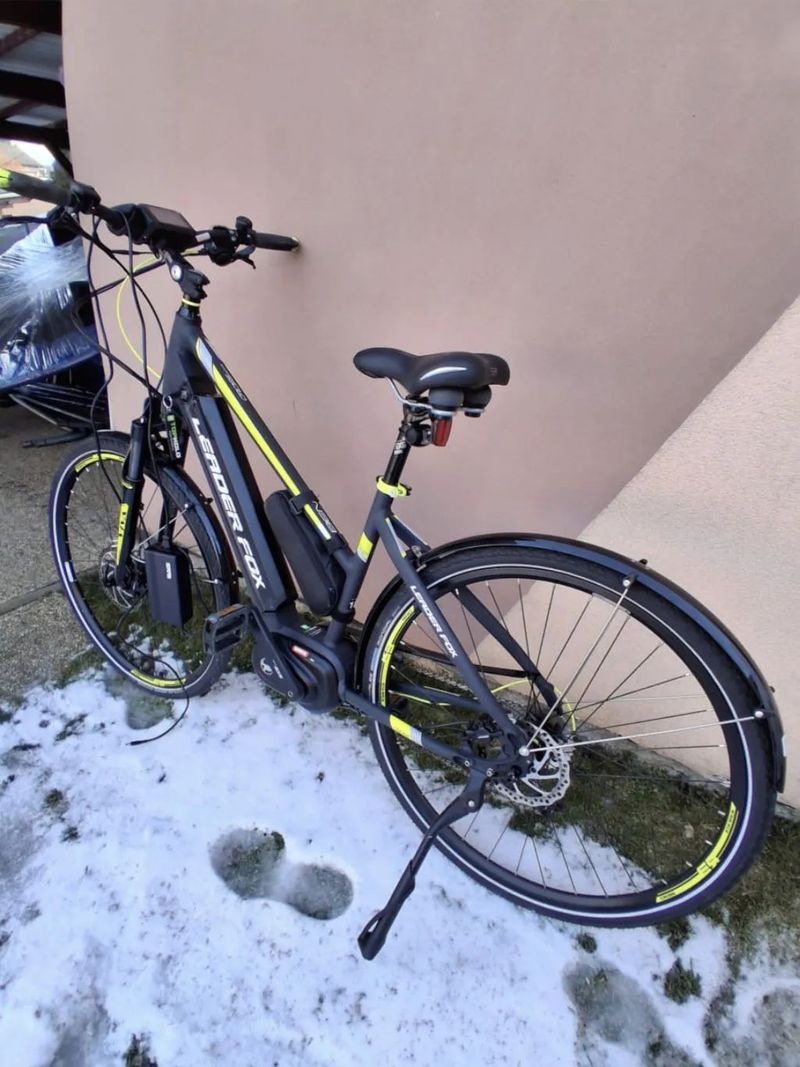 Leader Fox Bend Lady 18"