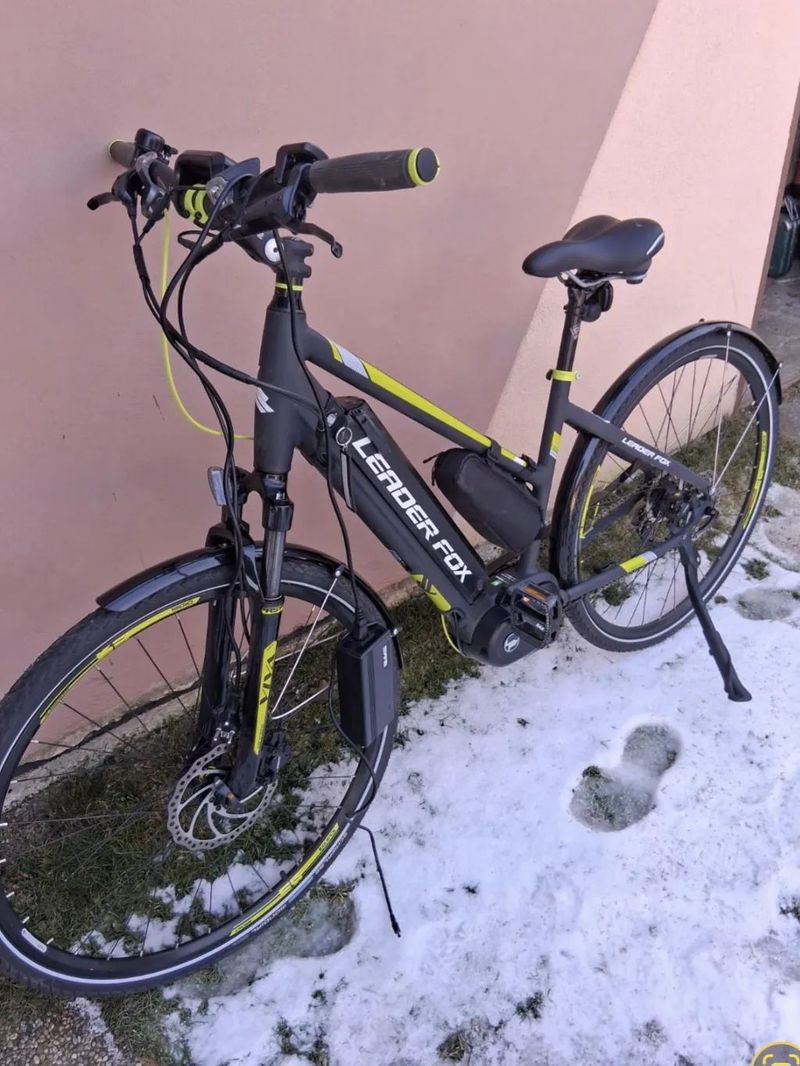 Leader Fox Bend Lady 18"