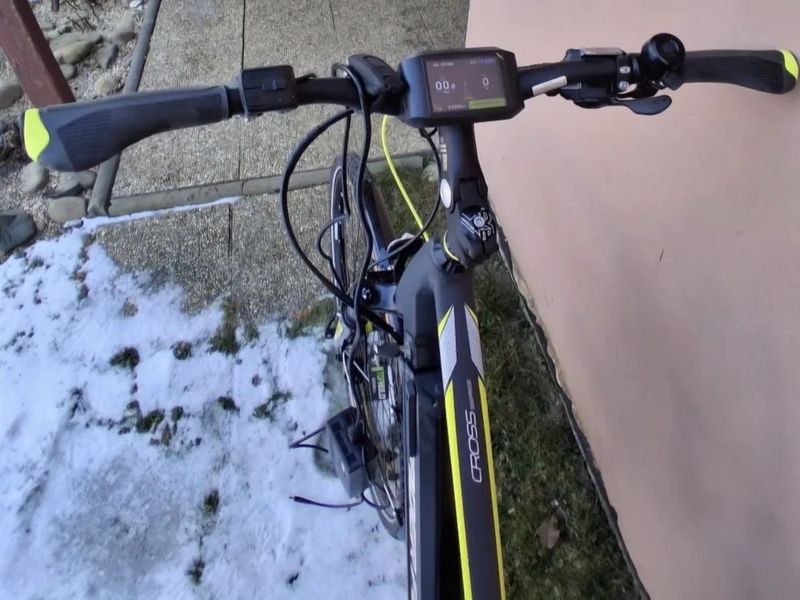 Leader Fox Bend Lady 18"