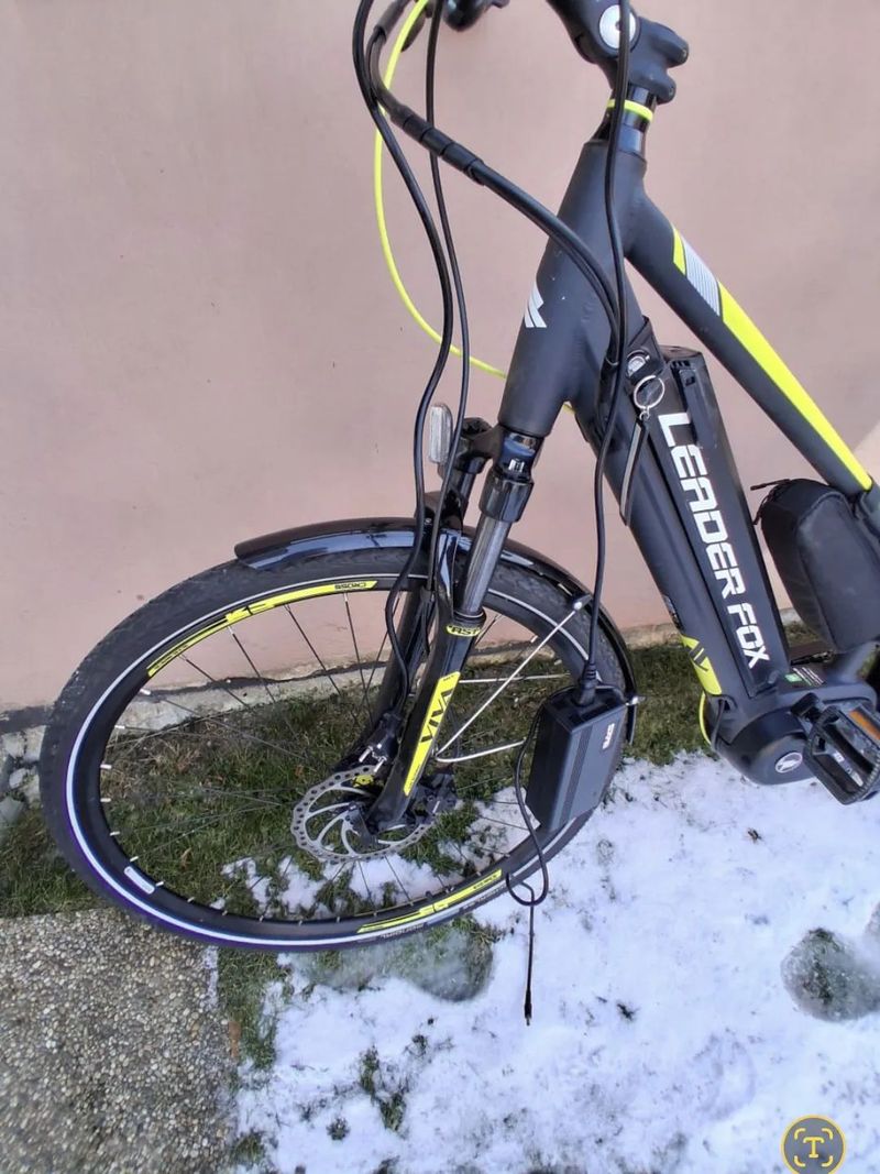 Leader Fox Bend Lady 18"