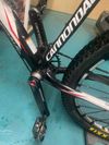 Cannondale