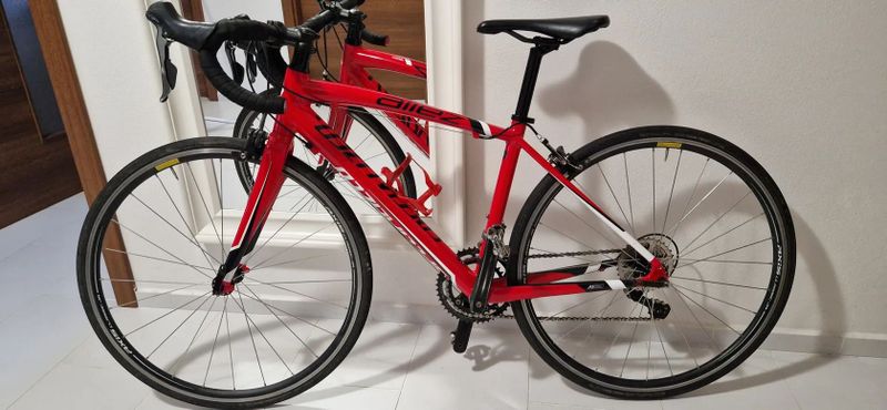 Specialized Allez jr.