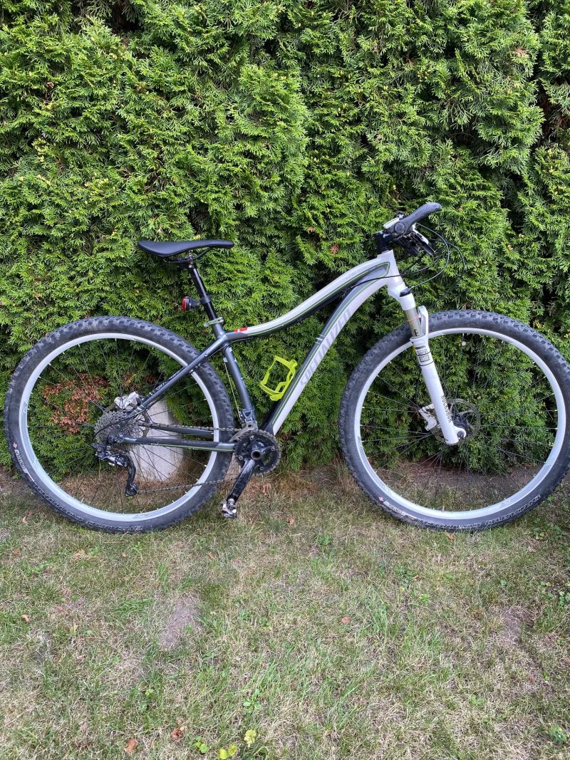 Specialized Jett Expert 29 šedá/bílá/zelená