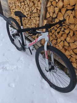 Amulet Youngster 29"