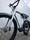 Elektrokolo Ruff Cycles Biggie Bosch Performance CX 2025
