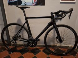 Basso Venta 2024 velikost 56