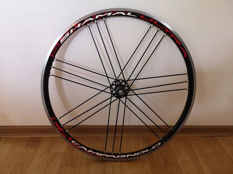 Campagnolo Eurus 2-Way Fit