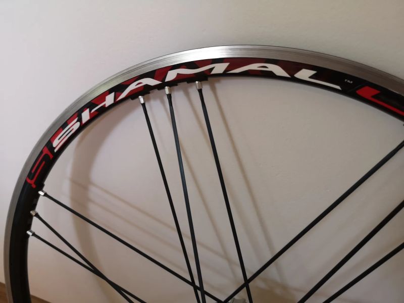 Campagnolo Eurus 2-Way Fit