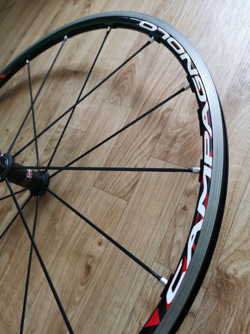 Campagnolo Eurus 2-Way Fit