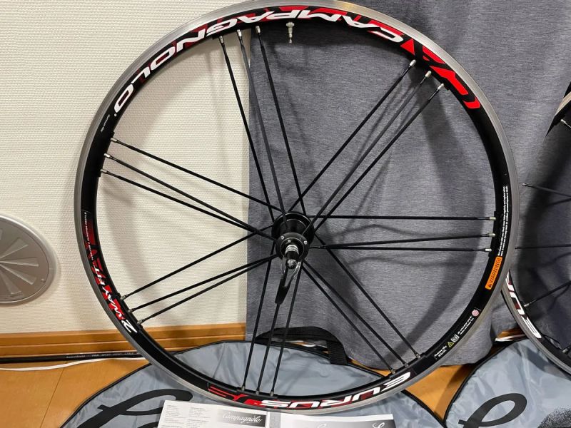 Campagnolo Eurus 2-Way Fit