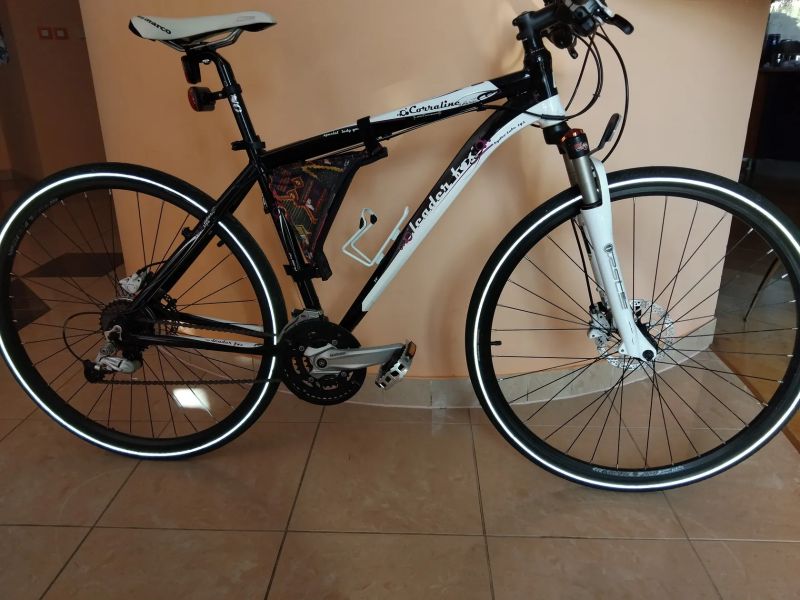 Leader Fox Corraline